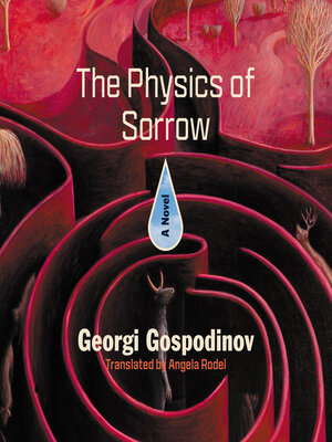 The Physics of Sorrow - Audiobook